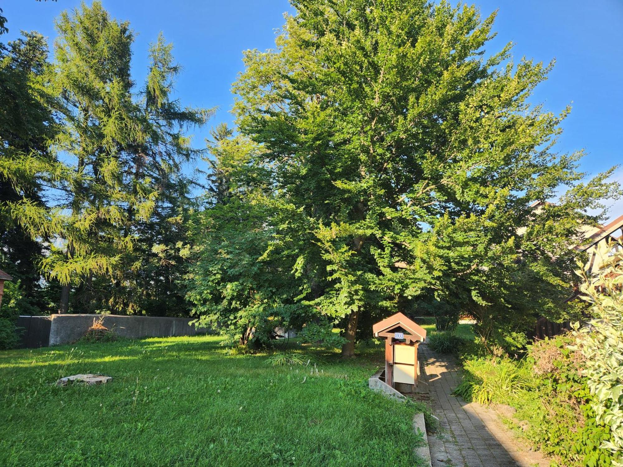 Appartement T3 Avec Jardin Proche Village Saint-Bonnet-en-Champsaur Εξωτερικό φωτογραφία