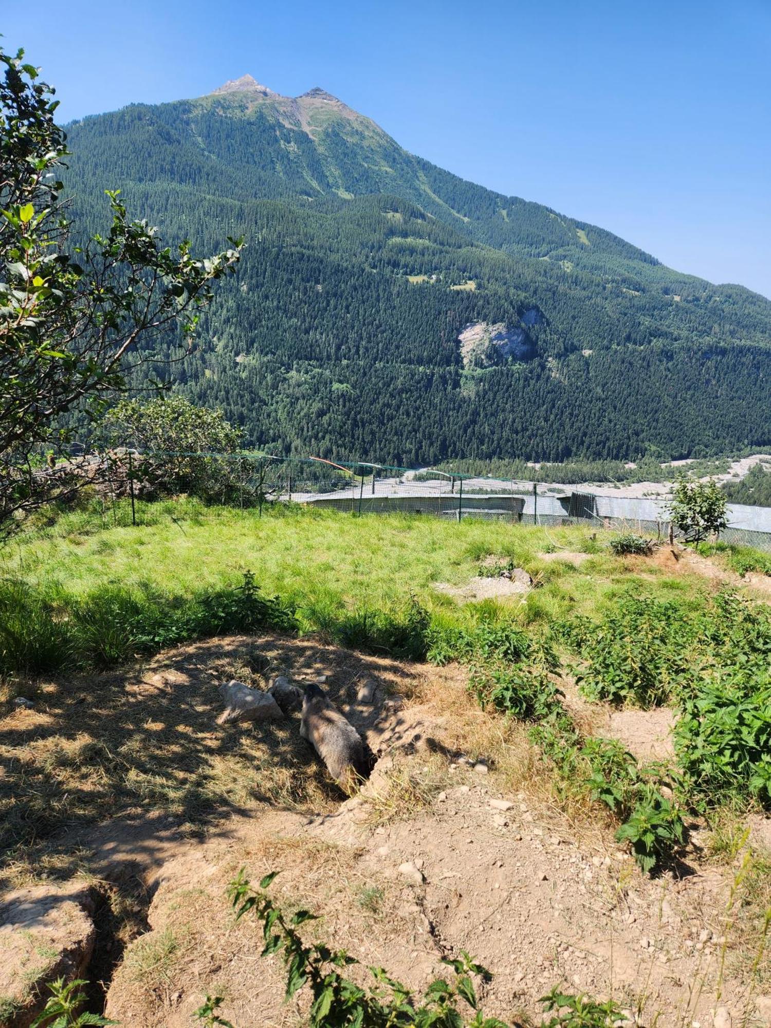 Appartement T3 Avec Jardin Proche Village Saint-Bonnet-en-Champsaur Εξωτερικό φωτογραφία